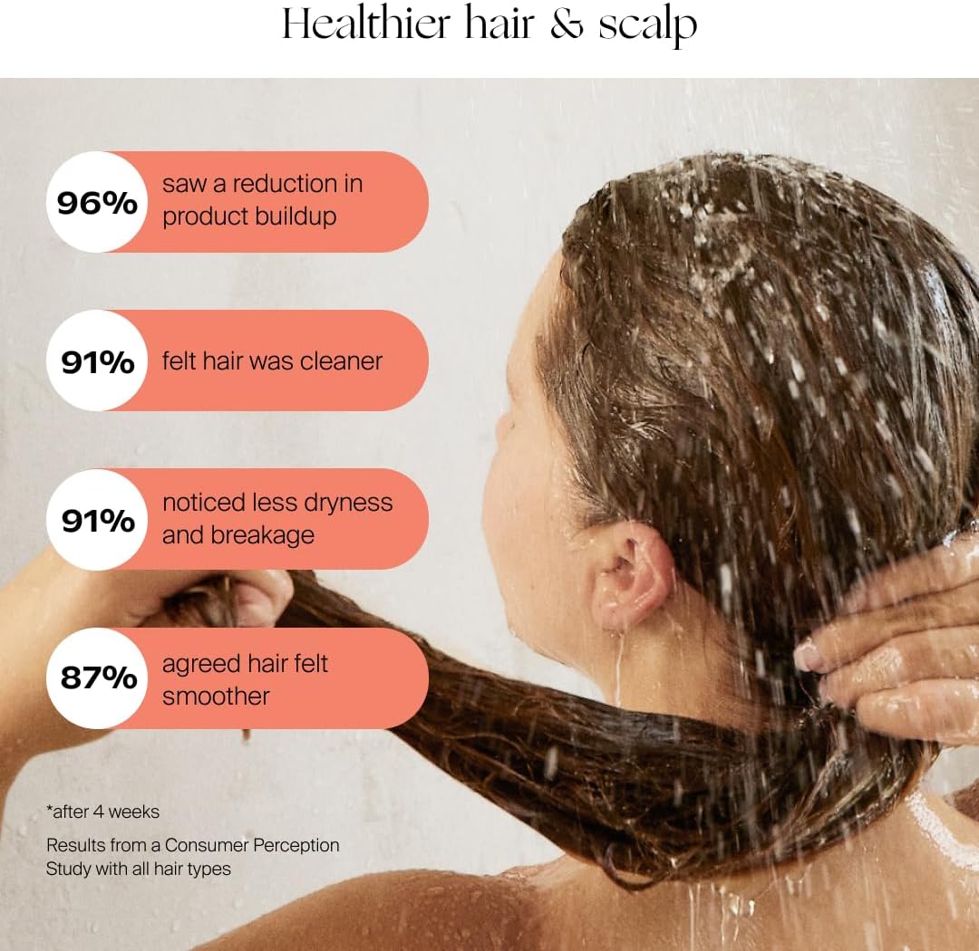Handheld Filtered Showerhead