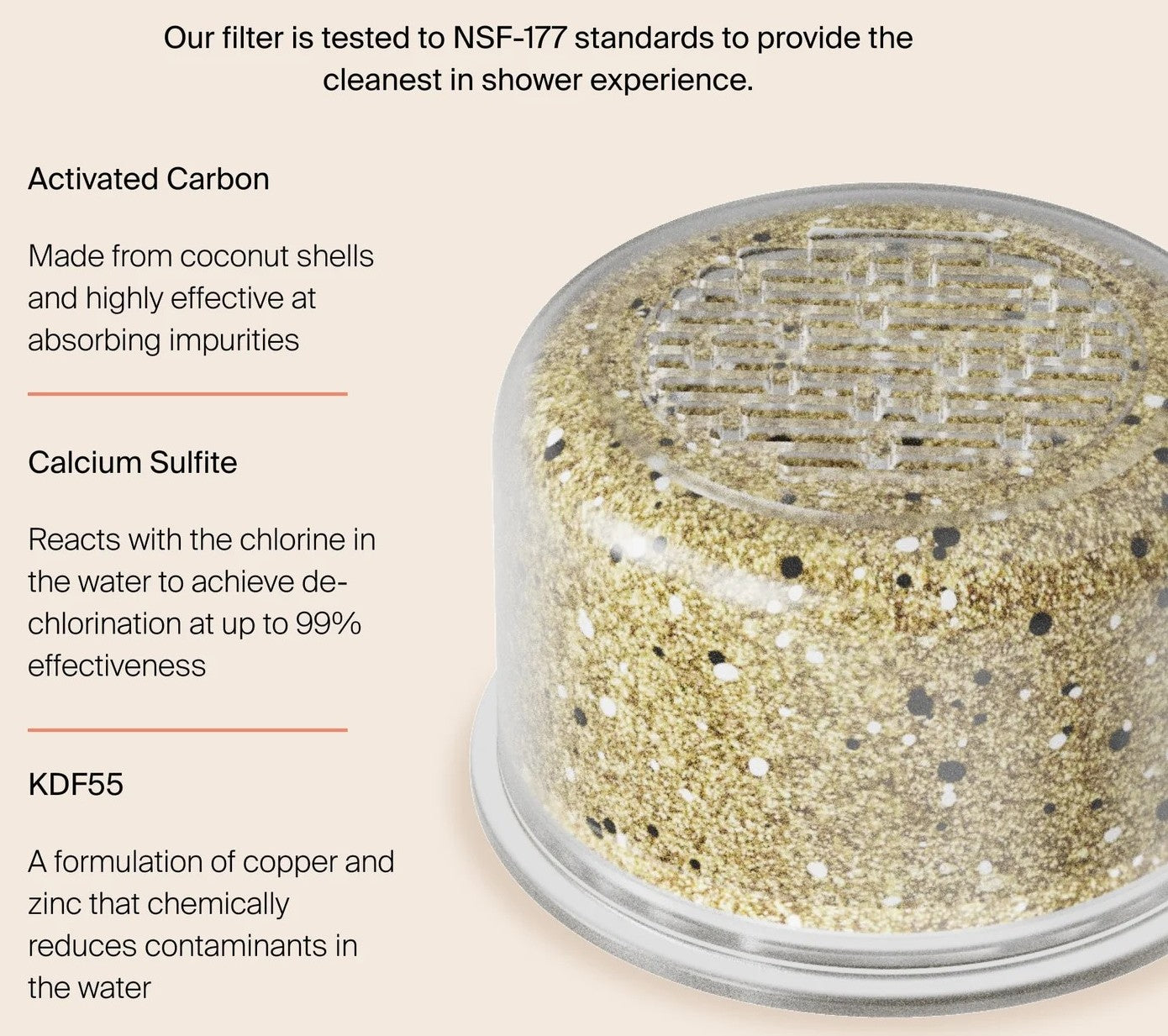 Showerhead Replacement Filter
