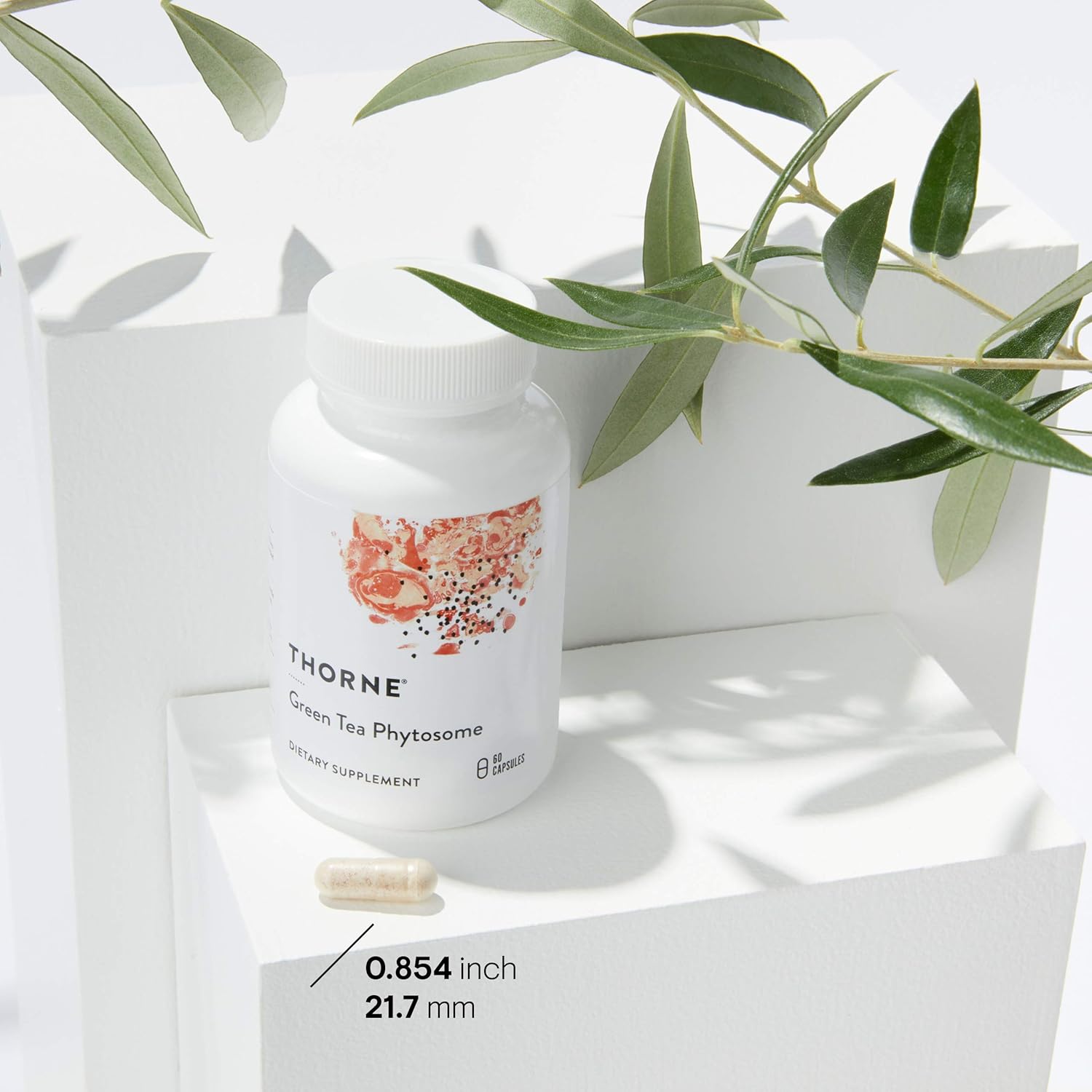 Green Tea Phytosome - 60 Caps