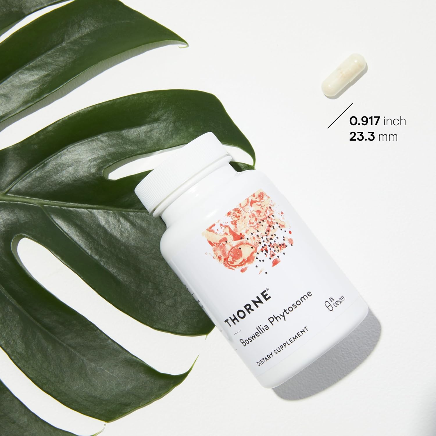 Boswellia Phytosome - 60 Caps