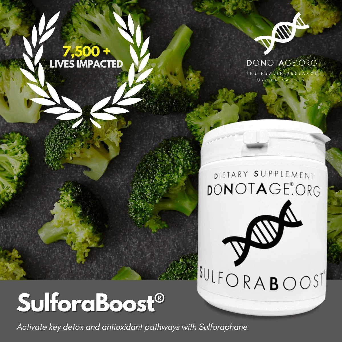 SulforaBoost - 60 Capsules