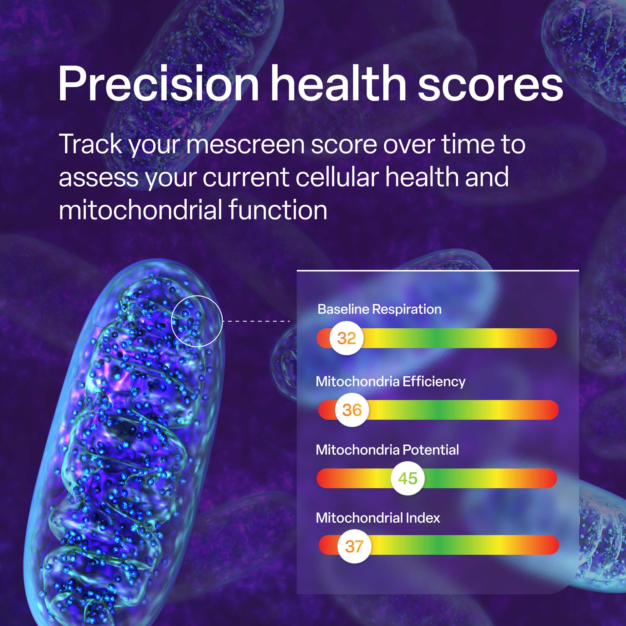 mescreen™ Mitochondria Efficiency Test