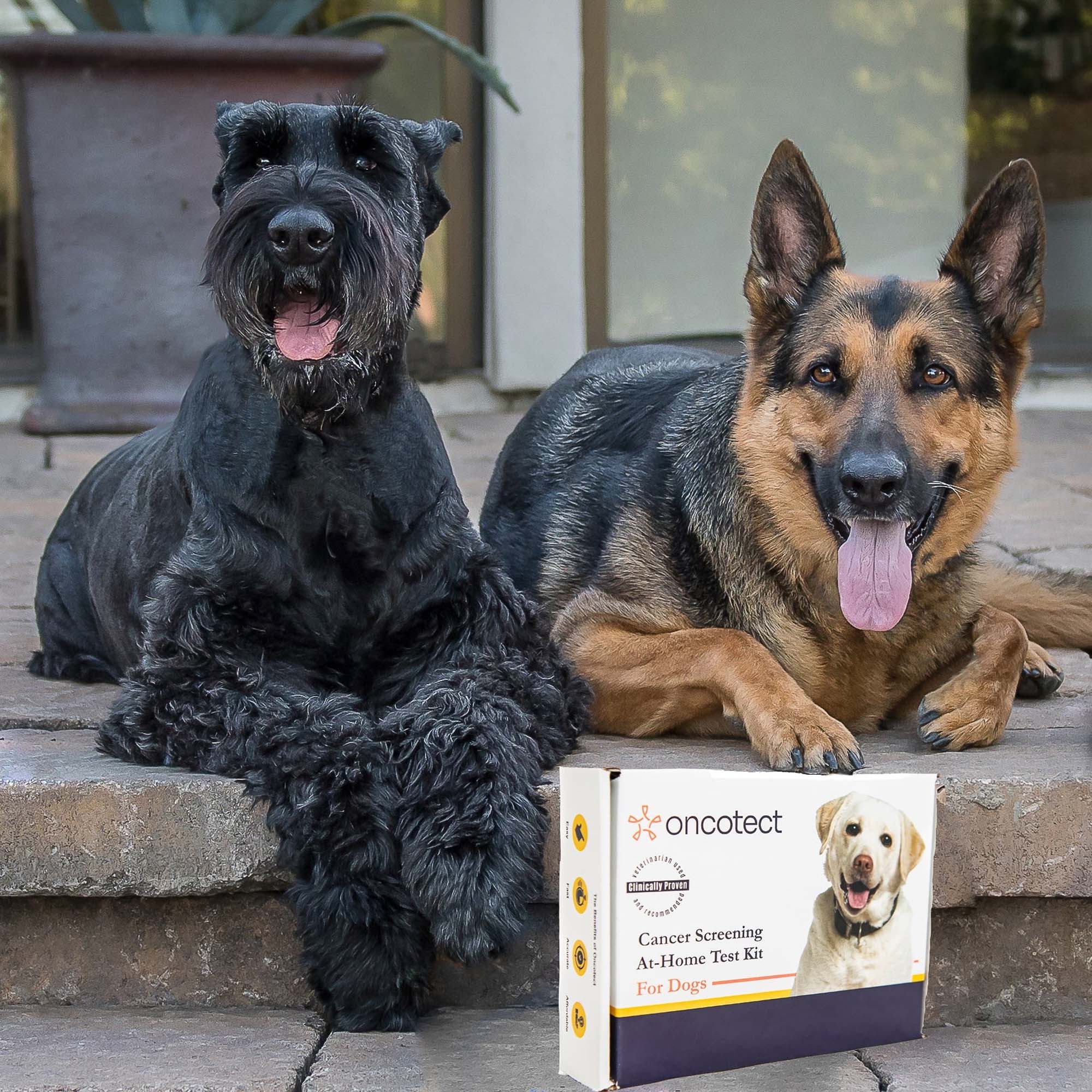 Dog Cancer Screening Test Kit - Premium
