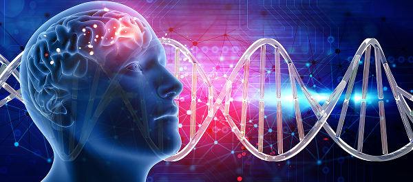 Brain health / Must Have