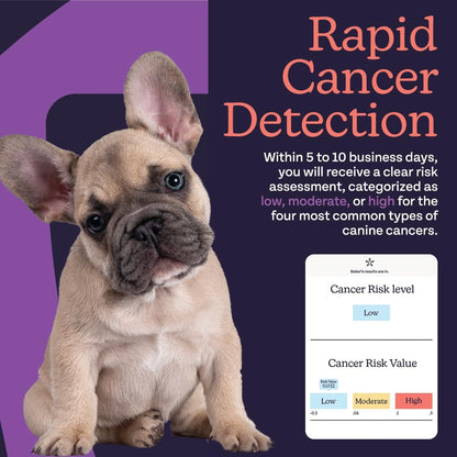 Dog Cancer Screening Test Kit - Premium