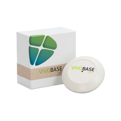 VivoBase Home