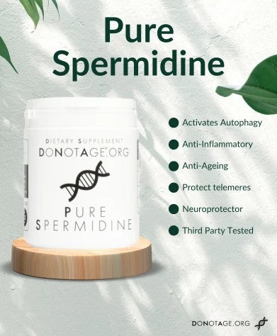 Pure Spermidine - 30 Caps
