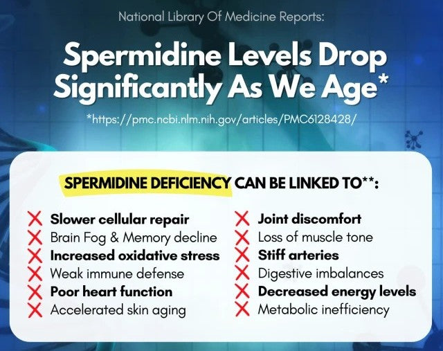 Pure Spermidine - 30 Caps