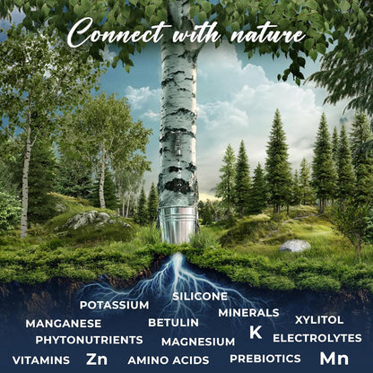 Nordic Tree Water Natural