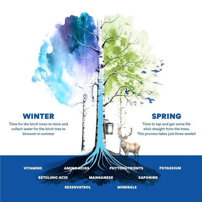 Nordic Tree Water Sport