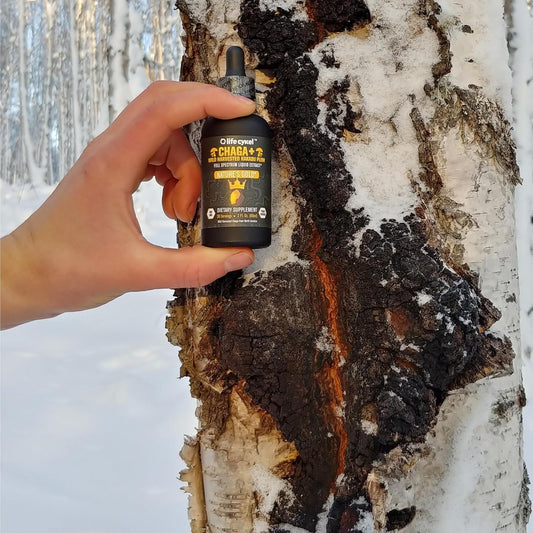 Chaga Double Extract 2oz