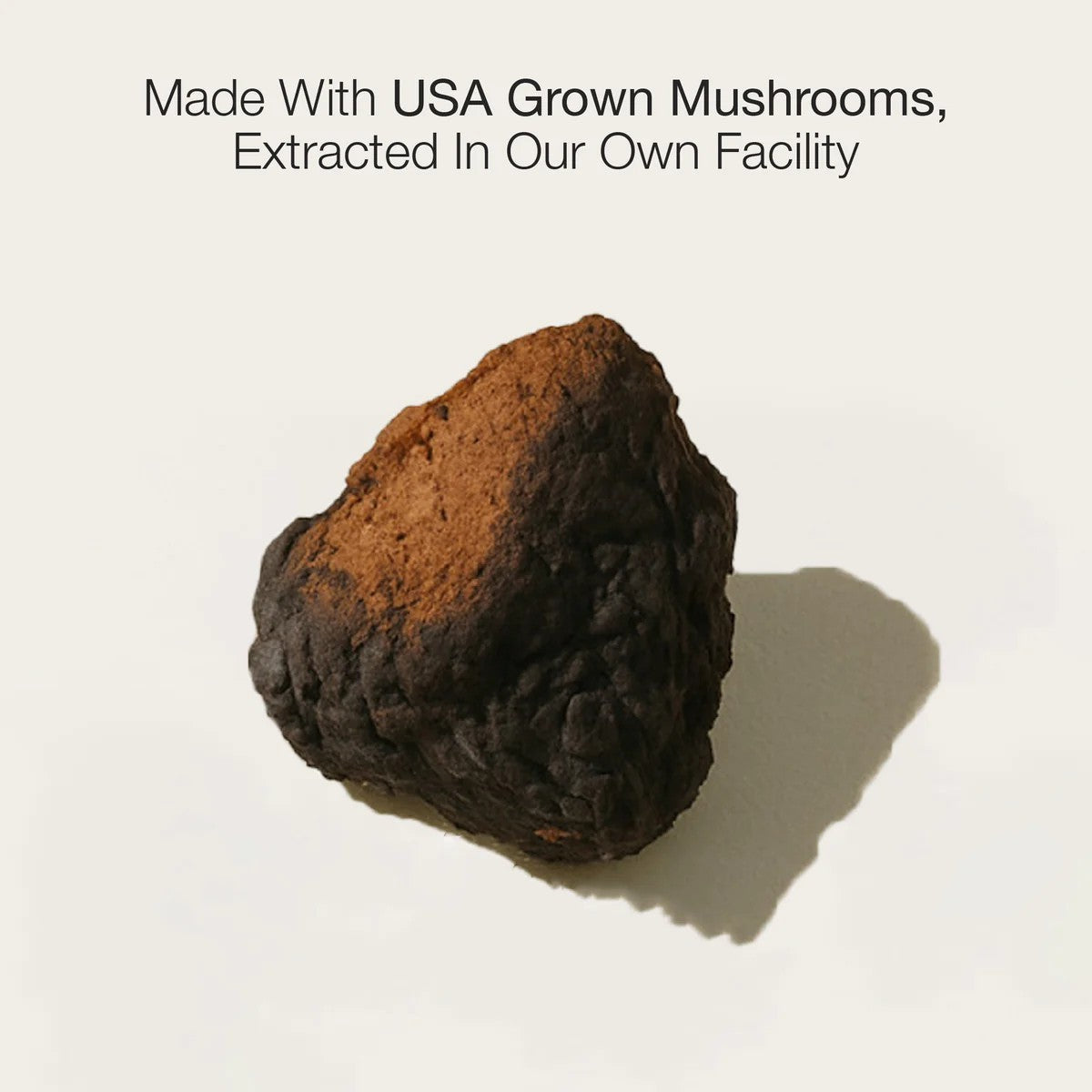 Chaga Double Extract 2oz