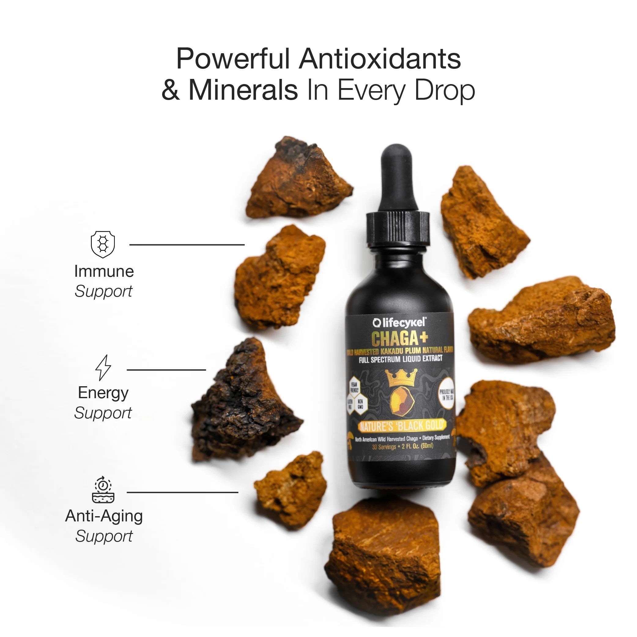 Chaga Double Extract 2oz