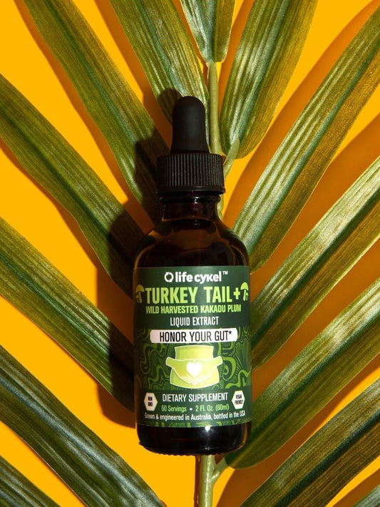 Turkey Tail Double Extract 2oz