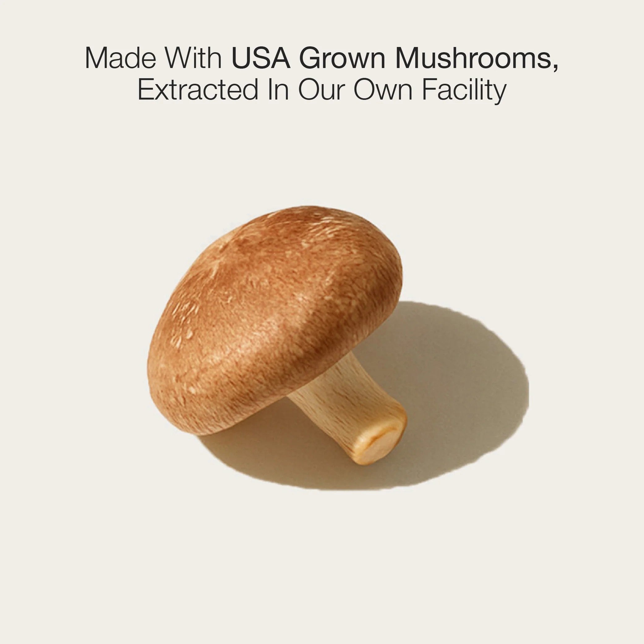 Shiitake Double Extract 2oz