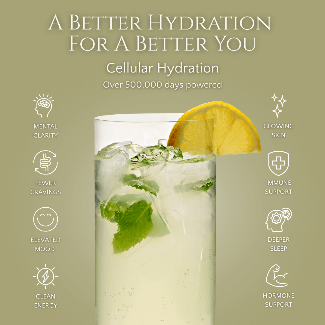 Kaizen Premium Electrolyte Mix - 28 Packets