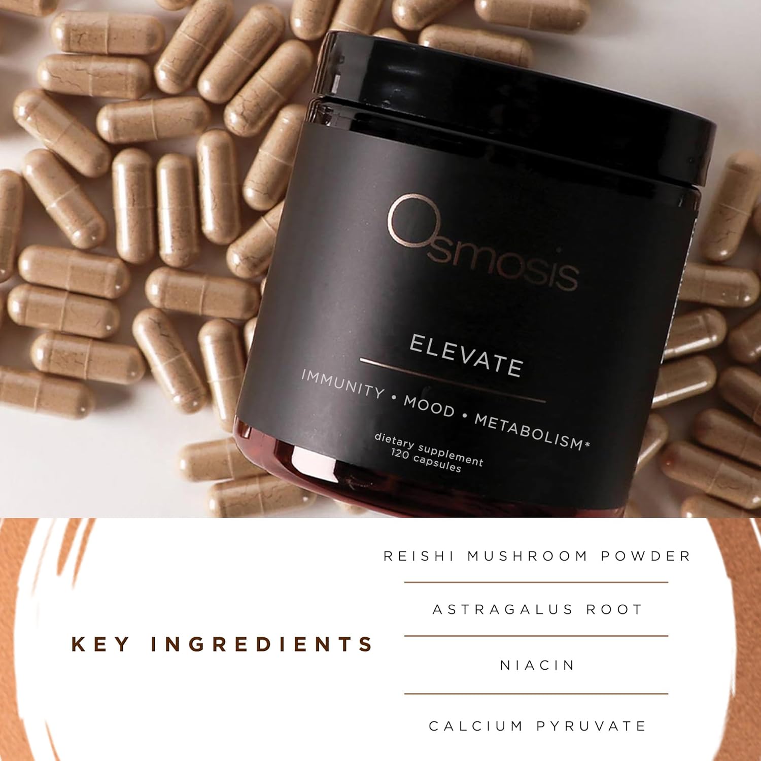 Elevate