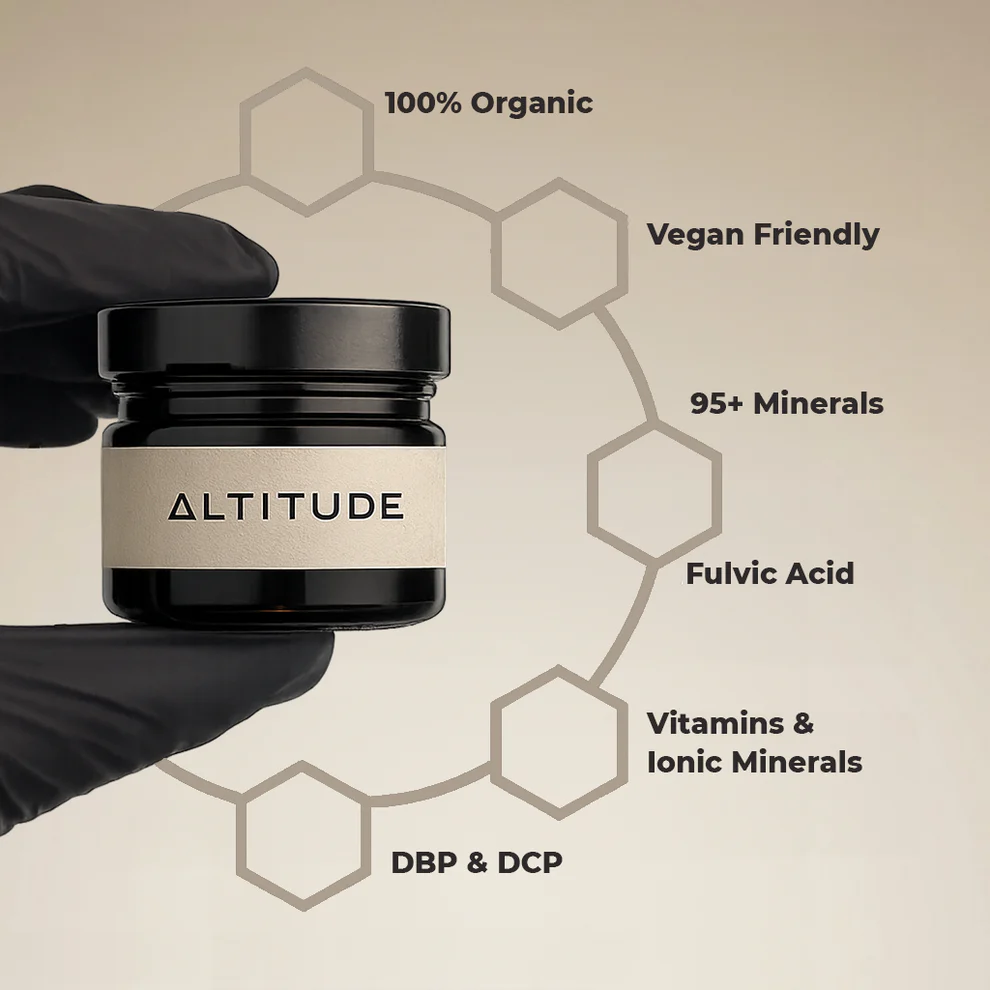 Pure Himalayan Shilajit Resin - 20 g