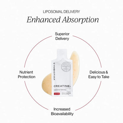 Liposomal Creatine+ 20 pouches (30 ml) - Raspberry flavor