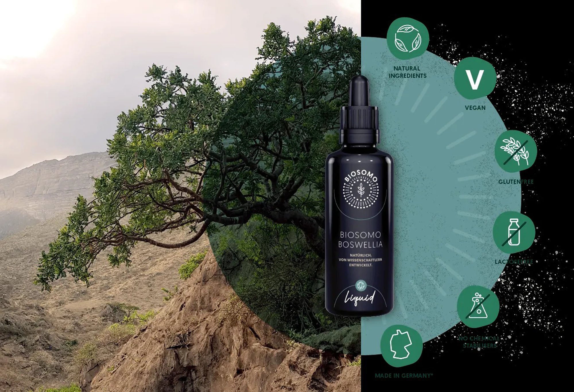 Boswellia Liquid