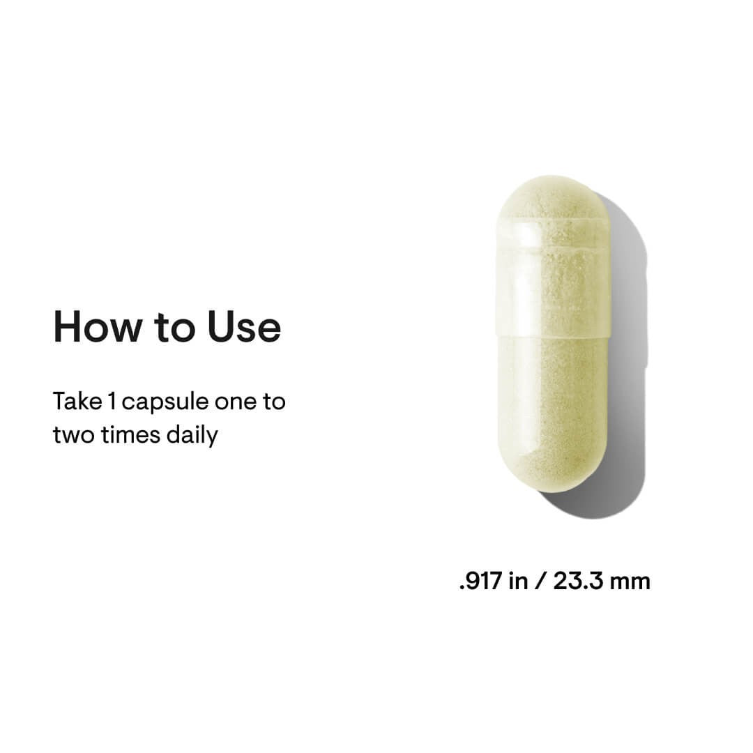 Broccoli Seed Extract - 60 Caps