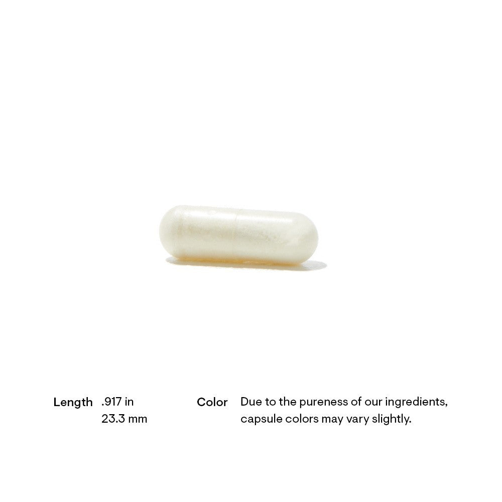 Advanced Digestive Enzymes - 180 Caps