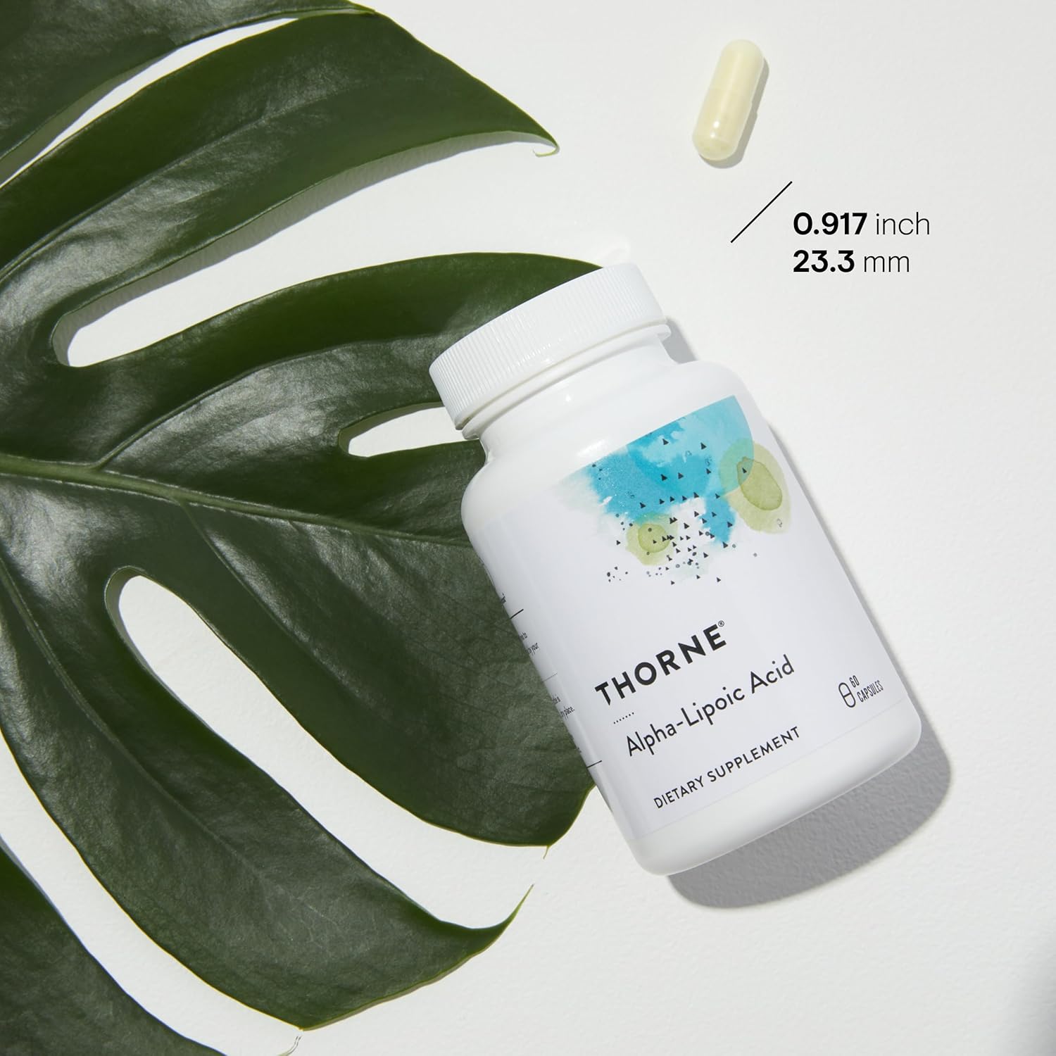 Alpha-Lipoic Acid - 60 Caps