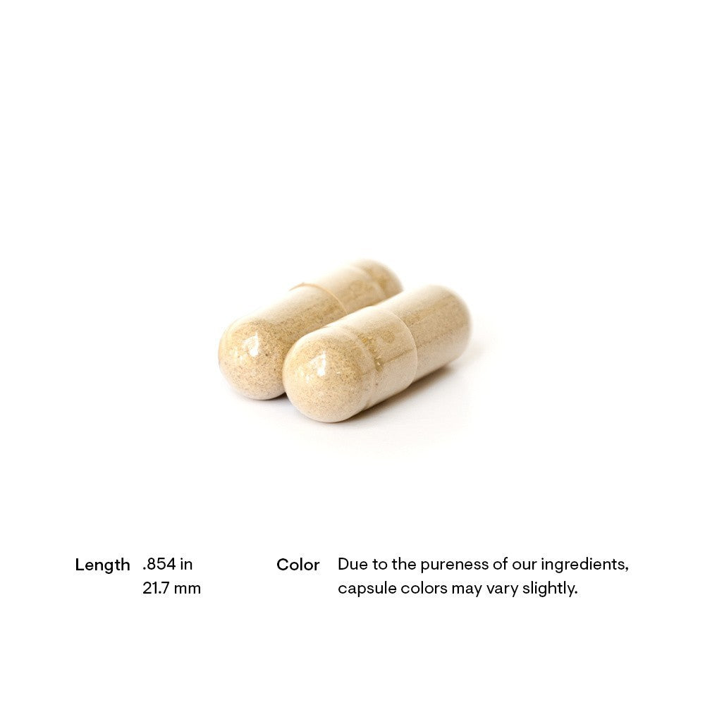 Green Tea Phytosome - 60 Caps