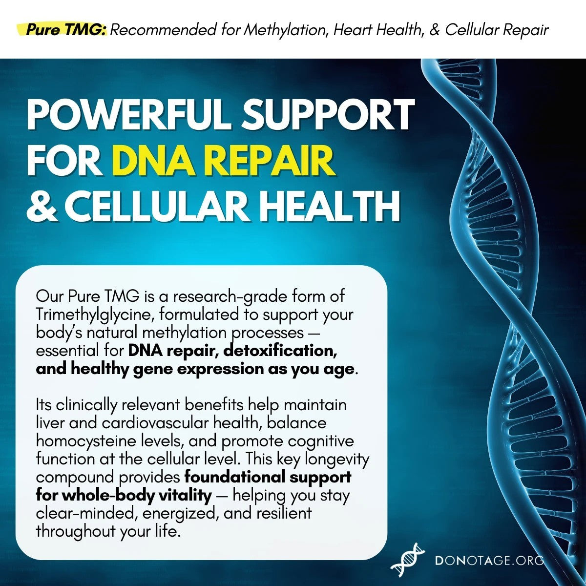 Pure TMG - 60 Capsules