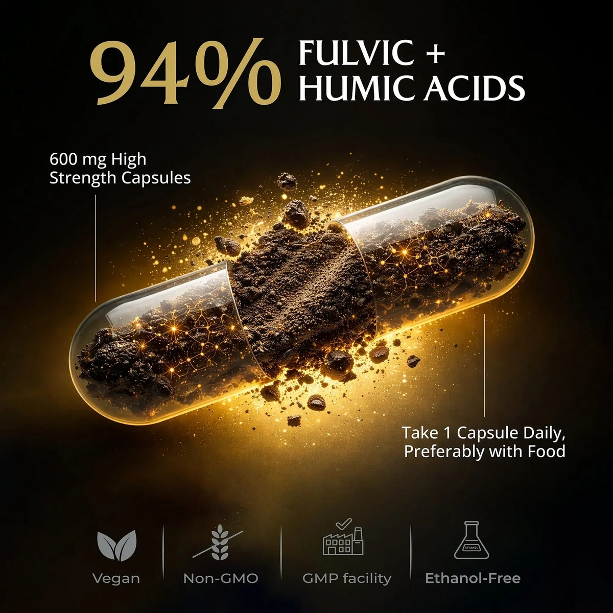 Qarma - Shilajit Capsules 600mg – 60 Caps