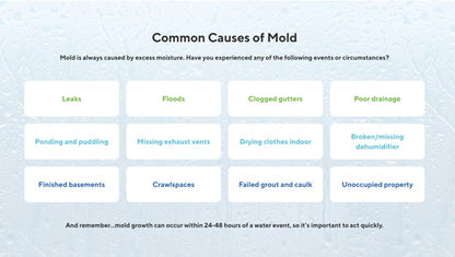 At-Home Mold Test Kit in Air, Complete Test Kit, 1 Room