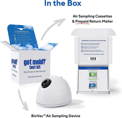 At-Home Mold Test Kit in Air, Complete Test Kit, 1 Room