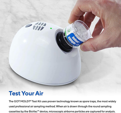 At-Home Mold Test Kit in Air, Complete Test Kit, 1 Room