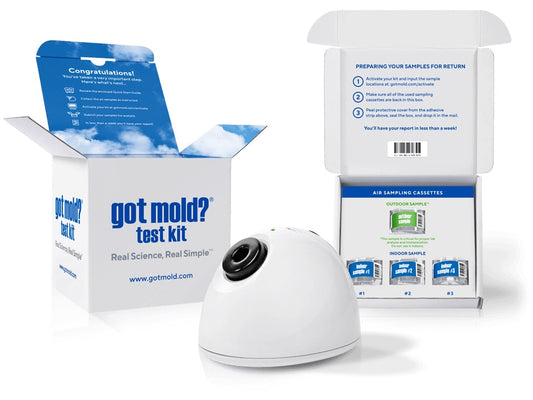 At-Home Mold Test Kit in Air, Complete Test Kit, 3 Rooms