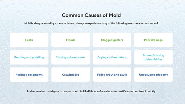 At-Home Mold Test Kit in Air, Refill Kit