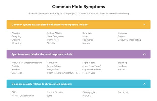 At-Home Mold Test Kit in Air, Refill Kit