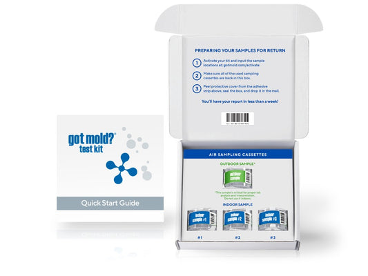At-Home Mold Test Kit in Air, Refill Kit, 3 Rooms