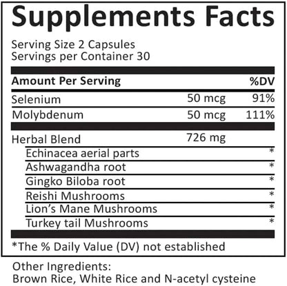 nutri-brain